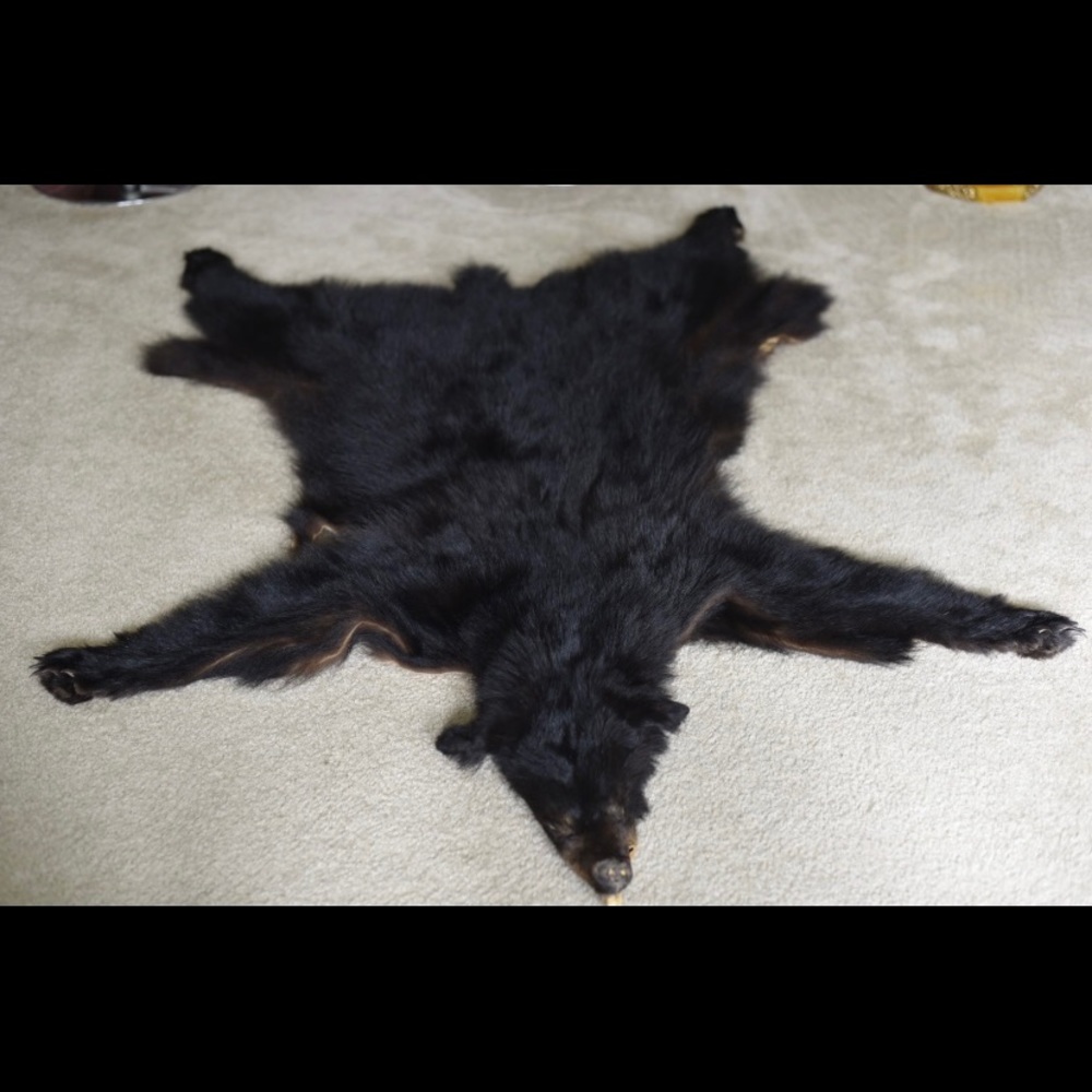 Area rug